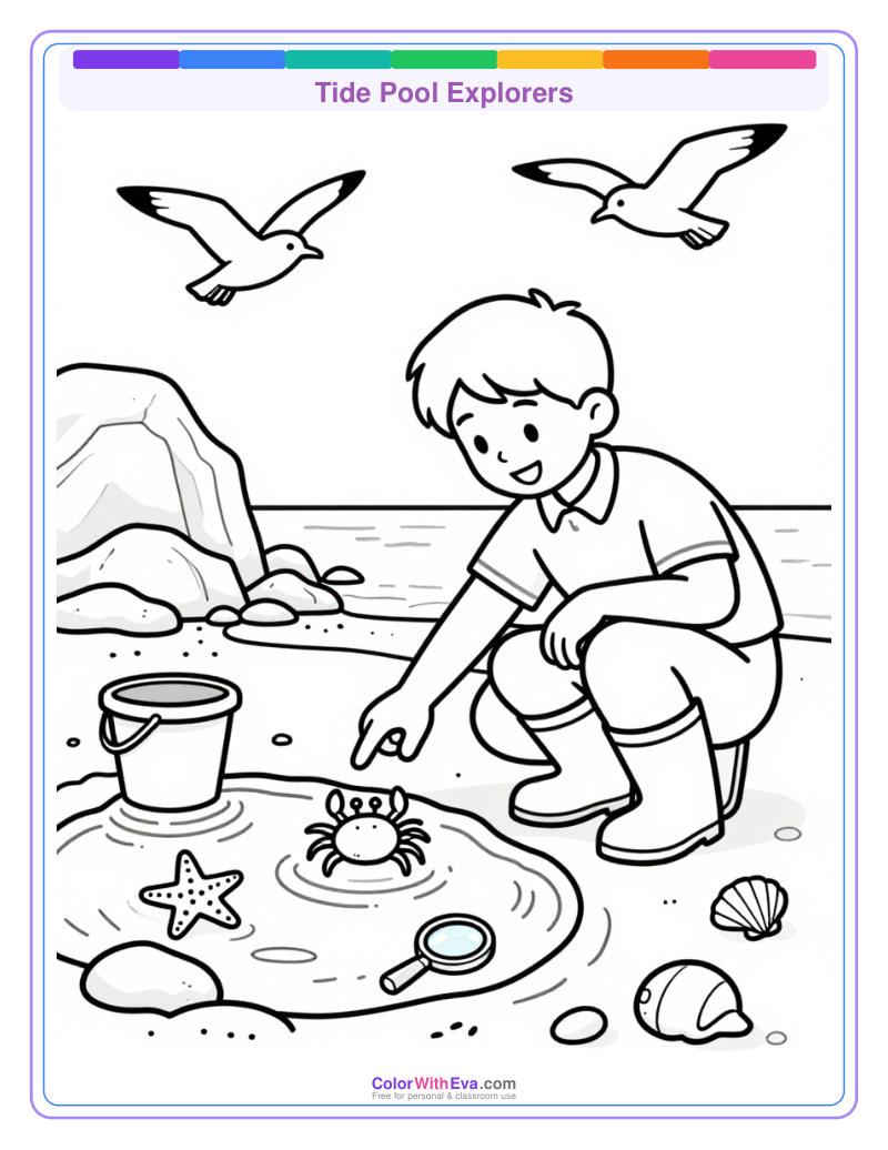 Tide Pool Explorers preview