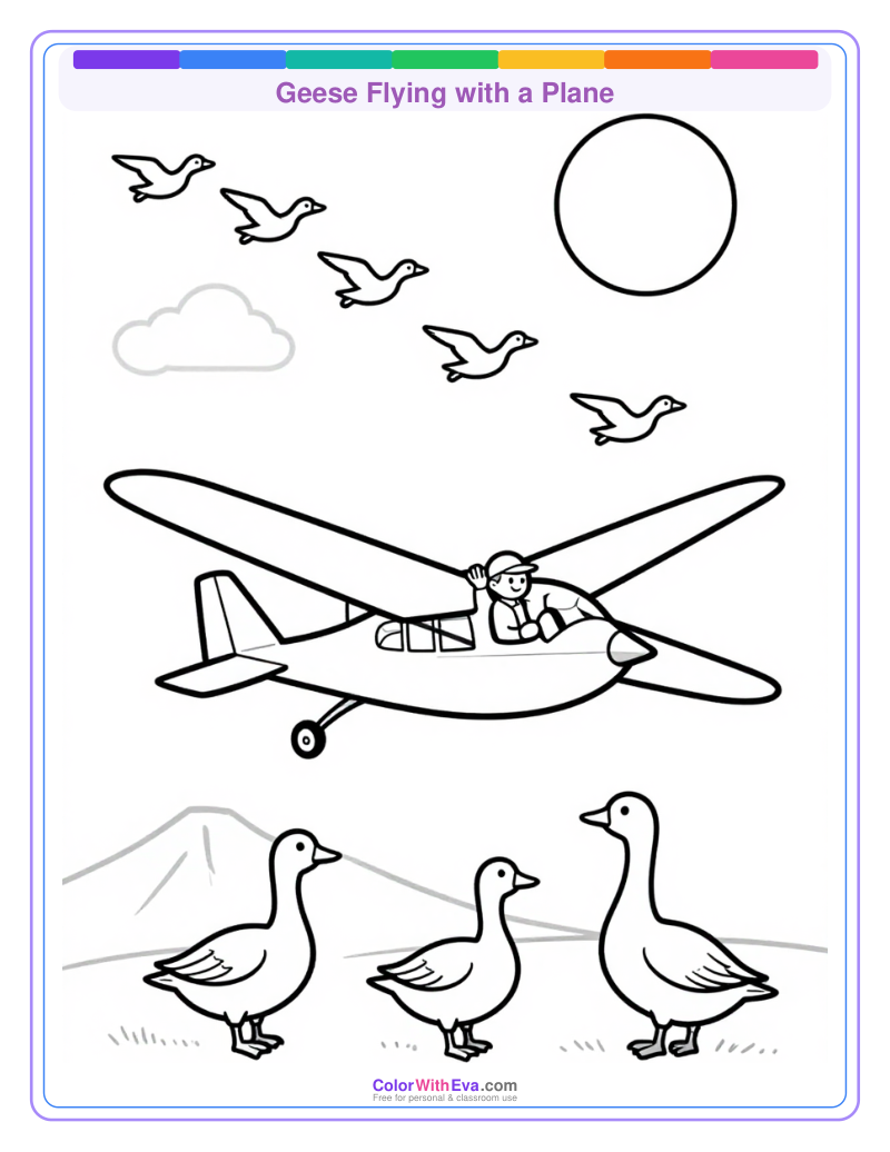 Geese Flying with a Plane preview